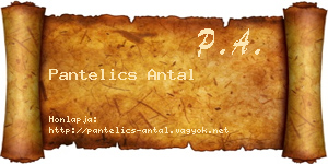 Pantelics Antal névjegykártya